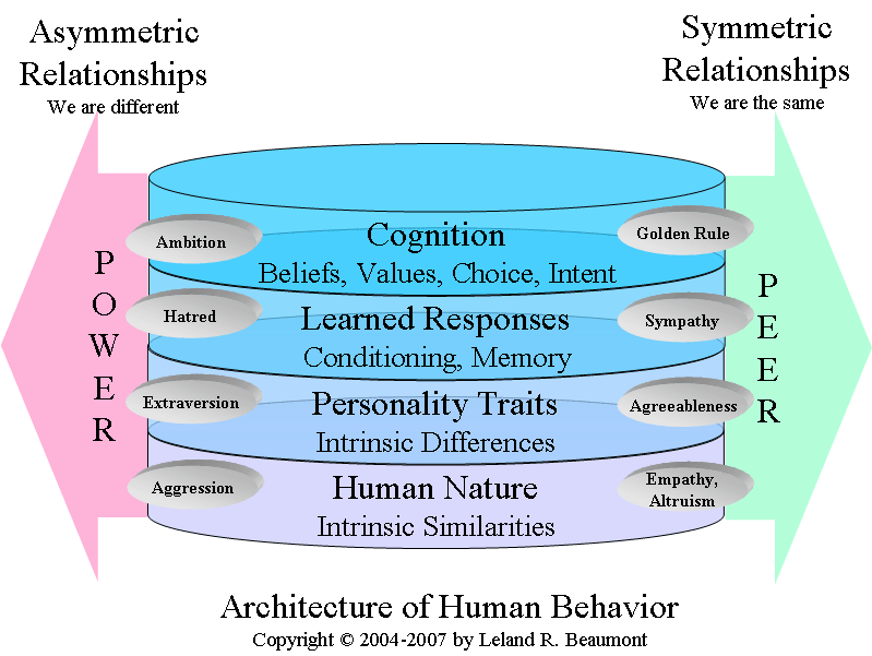 Architecture of Human Behavior